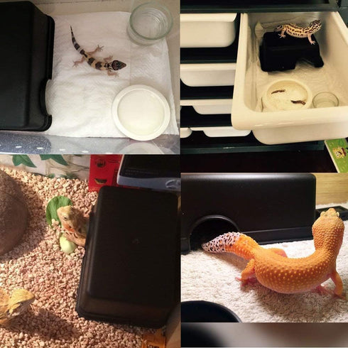 Reptile Hideout Box, Small Animal Hide Cave for Snakes, Lizards, Leopard Gecko, Rodents (S1)
