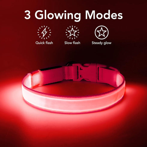 LED Dog Collar Light - USB Rechargeable, Adjustable Size, Heavy Duty Glow Safety Collar for Medium Dogs