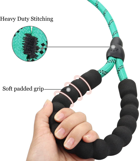 TagME Slip Leads for Dogs, 6 FT Heavy Duty Leash with Padded Handle, Strong No Pull Training Leash for Small Dogs