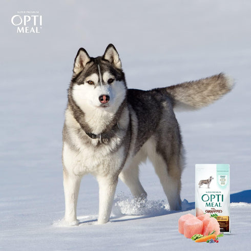 OPtimeal Grain-Free Dog Food, Balanced Dry Recipe with Immunity Support, Non-Grain for All Breeds, 3.3 lbs, Chicken &
