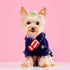 50pcs / 25Pair Small Dog Hair Bows with Rubber Bands and Rhinestones, Random Color Puppy Grooming Accessories