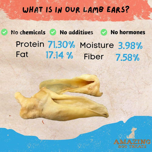 Amazing Dog Treats - Lamb Ears (10 Pcs/Pack) - Natural Chews, Rawhide Alternative, No Hide Dog Bones