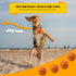 Dog Balls Toys for Aggressive Chewers, Indestructible Bouncy Floating Balls for Fetch, Durable Rubber (2 Pack)