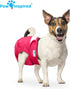 (3 Paw Inspired Washable Reusable Dog Diapers Female, Cloth Dog Diapers, Dogs in Heat, Dog Incontinence (Assorted
