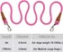 6 Foot Heavy Duty Dog Tie Out Rope Leash, Climbing Nylon Basic Leash for Indoor and Outdoor