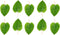Awesome Aquatic Mulberry Shrimp Leaves, Organic Treat for Aquarium Fish & Shrimp, 10 pk