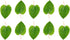 Awesome Aquatic Mulberry Shrimp Leaves, Organic Treat for Aquarium Fish & Shrimp, 10 pk