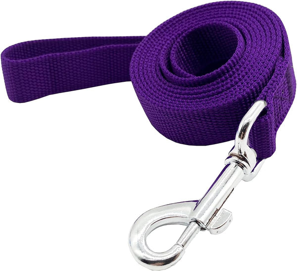 Strong Nylon Dog Leash, 10 Feet Long, 1 Inch Wide, for Medium Large Dogs Walking, Training, or Exploring