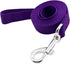 Strong Nylon Dog Leash, 10 Feet Long, 1 Inch Wide, for Medium Large Dogs Walking, Training, or Exploring