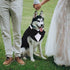 IDOMIK Dog Tuxedo for Small Medium Large Dogs, Detachable Formal Wedding Suit with Bow Ties & Bandana Set