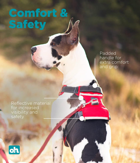 Outward Hound Boulder Adventure Adjustable Dog Harness with Pockets, Small, Red