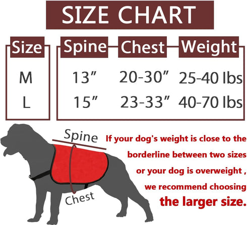 JXGZSO Nervous Do Not Approach Dog Jacket Vest Nervous Rescue Space Dog Vest Dog Walking Slogan Warning Vest (Training approach M)