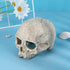 Halloween Aquarium Landscape Skull Aquarium Skull Artificial Skeleton Decoration for Home Décor Aquarium Fish Tank Landscape Collectible Teaching Prop by Hosfairy