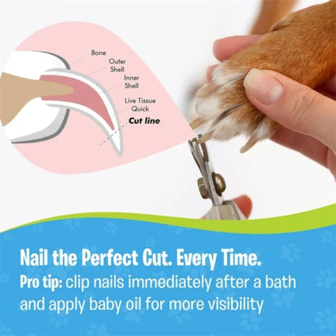 Cat Nail Clippers Set, Professional Grooming Tools for Cats' Nails, Safety Guard, Free Nail File, Razor Sharp Blades