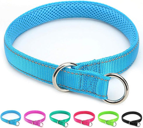 Reflective Slip Collar | Loop Dog Collar for Training with Soft Padded in Teal 22", 1" Wide