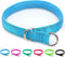 Reflective Slip Collar | Loop Dog Collar for Training with Soft Padded in Teal 22", 1" Wide