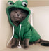 XIAOYU Pet Clothes Dog Hoodies, Warm Sweatshirt Coat for Puppy Autumn Winter, Jumpsuit with Eye Hood, Frog, XXL