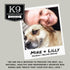 K9 50 1 Pack 10 Count Connoisseur Dog Bones Made in USA for Small and Medium Breed Dogs Natural Long Lasting Meaty Beef