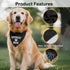 WHTYEFZ Goodest Boy Black Dog Bandana, Funny Pet Scarf Photo Prop Accessory for Wedding Engagement Pregnancy