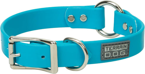 Terrain D.O.G. Brahma Webb Hunting Dog Collar, 1" x 23", Hurricane Blue
