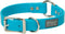 Terrain D.O.G. Brahma Webb Hunting Dog Collar, 1" x 23", Hurricane Blue
