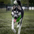 BARKLESS Dog Muzzle - Soft Basket Silicone Muzzle for Dogs, Breathable Cage Mouth Cover for Training
