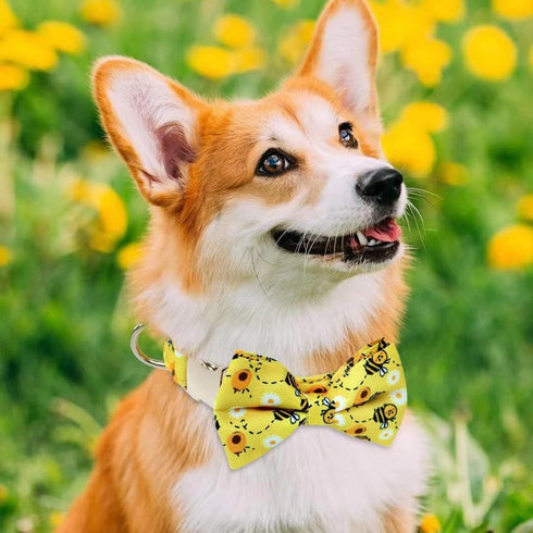 Beirui Soft Comfy Dog Bow Tie Collar with Multicolor Patterns, Cute Collars with Metal Buckle for Small Medium Large