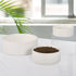 Ceramic Dog Bowl, Heavy Porcelain Feeding Bowls, Anti Tip Over, 28.74 oz, White