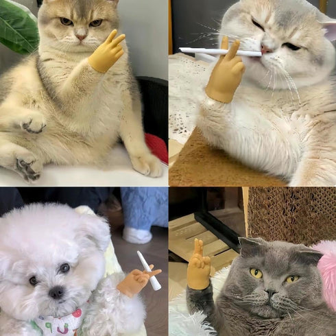 Mini Hands for Cats, 3/6Pcs Tiny Folded Hands Toy for Cats and Puppies, Interactive Stretchable Gloves
