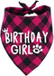 Birthday Girl Dog Bandana