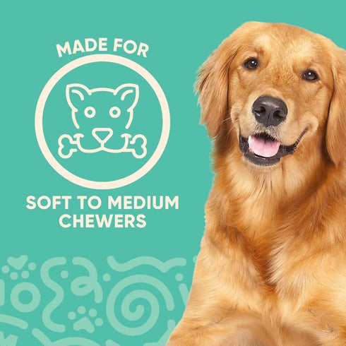ToothBuddy Dental Chew Dog Bone - Chew Stick Designed for Safe Pet Play, Made from Textured & Non-Toxic Silicone - for Soft and Medium Chewers