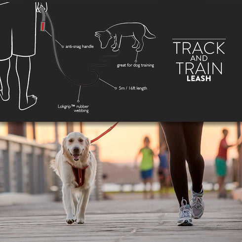 EzyDog Track and Train Premium Dog Leash, 16-Foot Extra Long Lead for Training Your Pup - Red