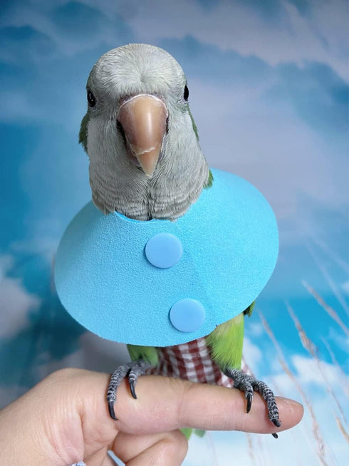 Parrot Neck Collar, Anti-bite Protective Neck Cover for Birds, Feather Healing (S)
