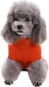 CHBORCHICEN Small Dog Sweaters Knitted Winter Clothes for Pet Cat, Warm Dog Sweatshirt, Puppy Sweater (X-Small, Orange)