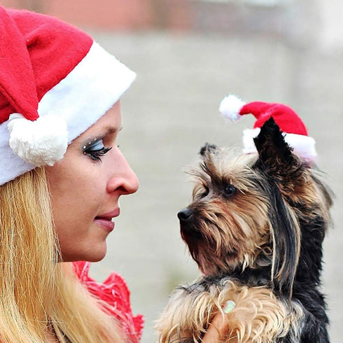 Yahpetes Dog Cat Pet Santa Hat - 4 Pcs Christmas Santa Claus Hat, 5.5"X7.8" for Puppy, Kitten, Small Dogs