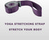 SANKUU Yoga Straps Stretching Strap - 12 Loops Workout Poster for Stretching, Pilates, and Gymnastics