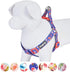Blueberry Pet Step-in Dog Harness - 9 Patterns, Irish Blue Rose Print, Medium, Chest Girth 20" - 26"
