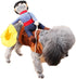 Xiaoyu Pet Dog Cat Halloween Costume, Funny Riding Horse Style Knight Clothing for Dog Cat Cosplay, Size L