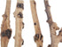 Reptile Décor Natural Forest Branch Terrarium Wood Aquarium Ornament, 4 Pack