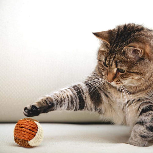 3Pcs Cat Toy Sisal Ball, Eco-Friendly Interactive Chew Toy for Pets (Random Color)