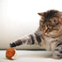 3Pcs Cat Toy Sisal Ball, Eco-Friendly Interactive Chew Toy for Pets (Random Color)