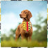100PCS Hemming Small Dogs Bandanas Bulk Pet Paw Bone Kerchief Triangle Bibs Head Scarves Scarfs Random Patterns