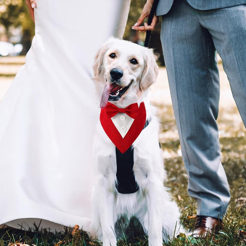 Dog Wedding Bandana, Adjustable Formal Tuxedo Collar with Bow for Small, Medium, and Large Dogs, Birthday Gifts (Large,