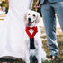 Dog Wedding Bandana, Adjustable Formal Tuxedo Collar with Bow for Small, Medium, and Large Dogs, Birthday Gifts (Large,