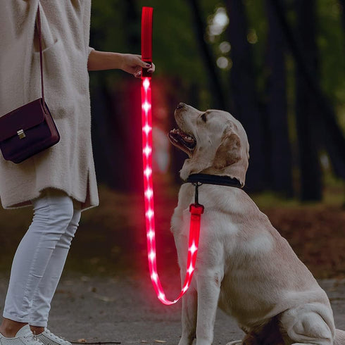 BSEEN LED Dog Leash, USB Rechargeable Light Up Leash for Nighttime Dog Walking (Pink?, 47 Inch)