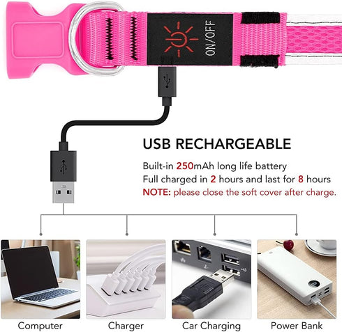 YFbrite Light Up Dog Collar, USB Rechargeable LED Puppy Collar, Adjustable Glowing Lights for Night Walking