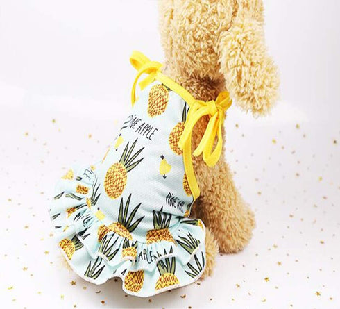 Pet Clothes, Summer Fruit Dog T-Shirt & Skirt Dress for Small Dogs & Cats (M-Back Length 30cm, Pineapple)