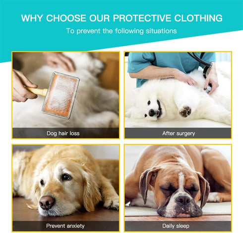 Dog Onesie Prevent Shedding - Surgery Recovery Suit for Pets, Bodysuit Sport Shirt (XS, Lake Blue)