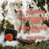 Combo Dog Brush - Slicker & Undercoat Rake - Self Cleaning Grooming Tool for Medium & Long Haired Pets