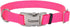Coastal Pet Adjustable Dog Collar with Metal Buckle - Neon Pink, 1" x 18" - 26"